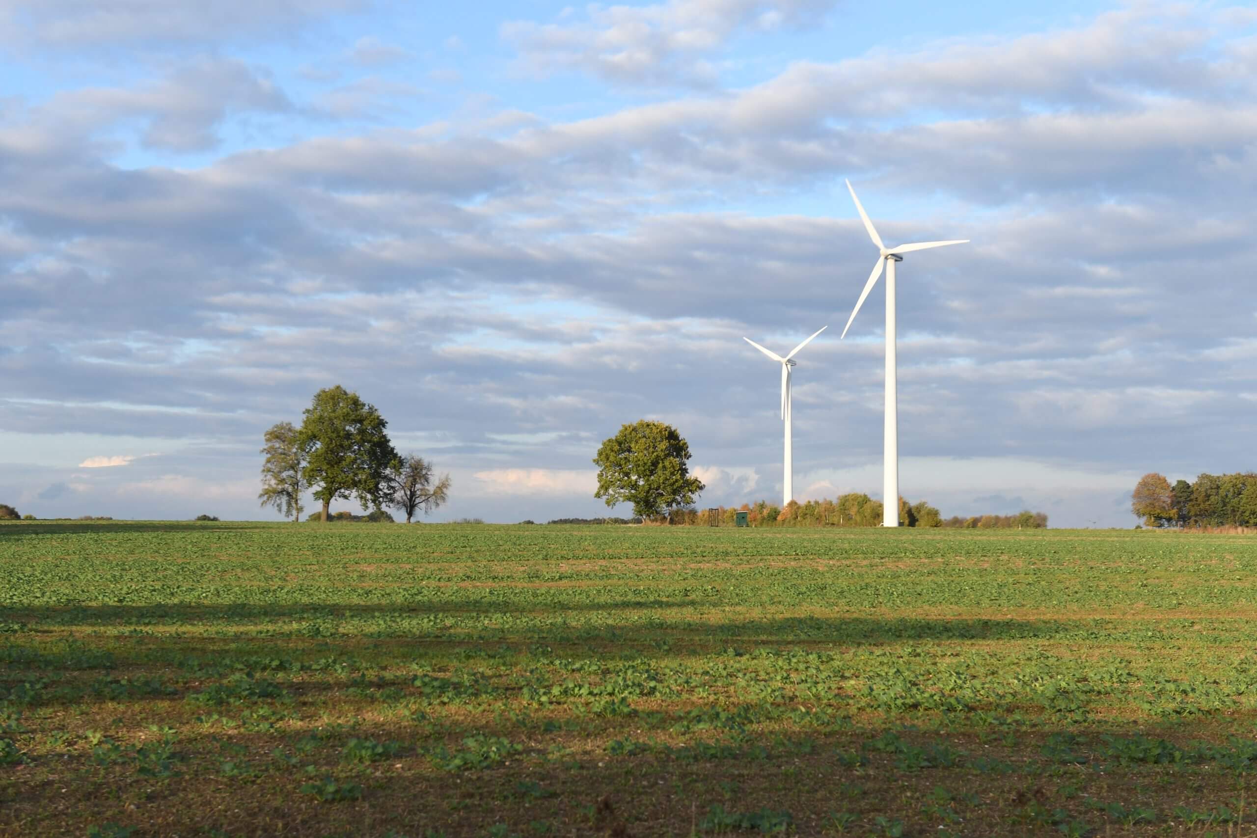 Windkraftwerke in der Ferne auf dem Acker