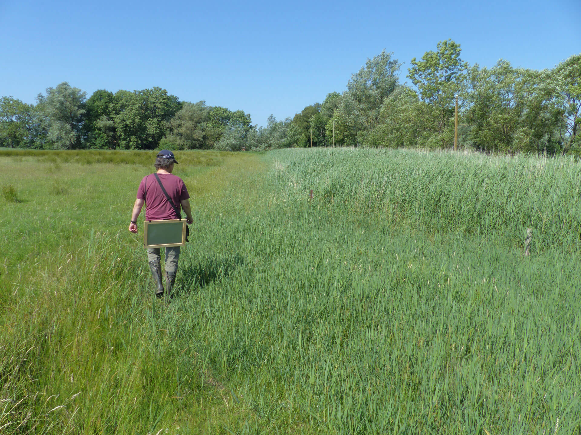 Ökologisches Monitoring