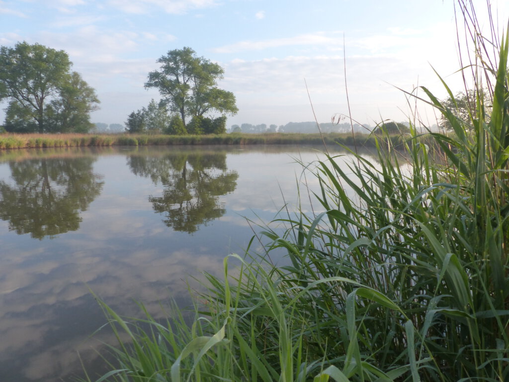 großes Stillgewässer in der Marsch