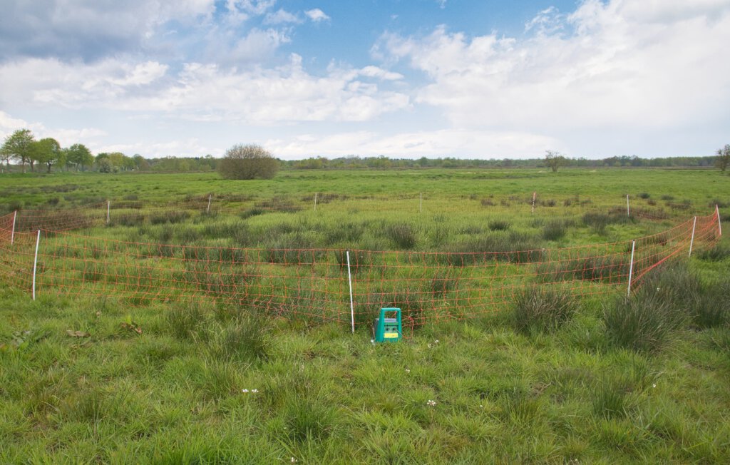Elektroschutzzaun Brachvogelgelege